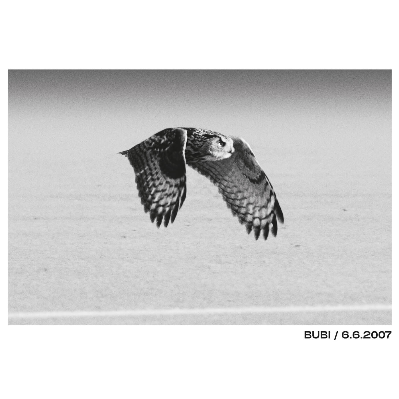 Bubi Flies Long Sleeve, Kids