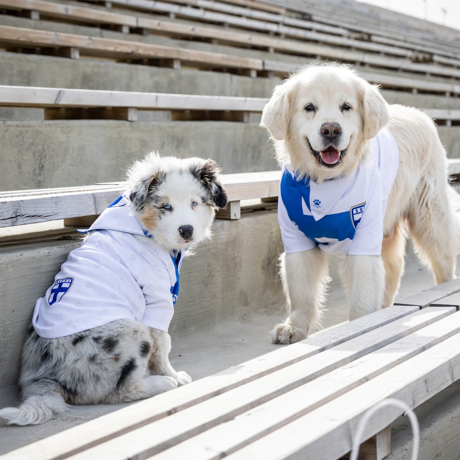Finland Official Pet Jersey