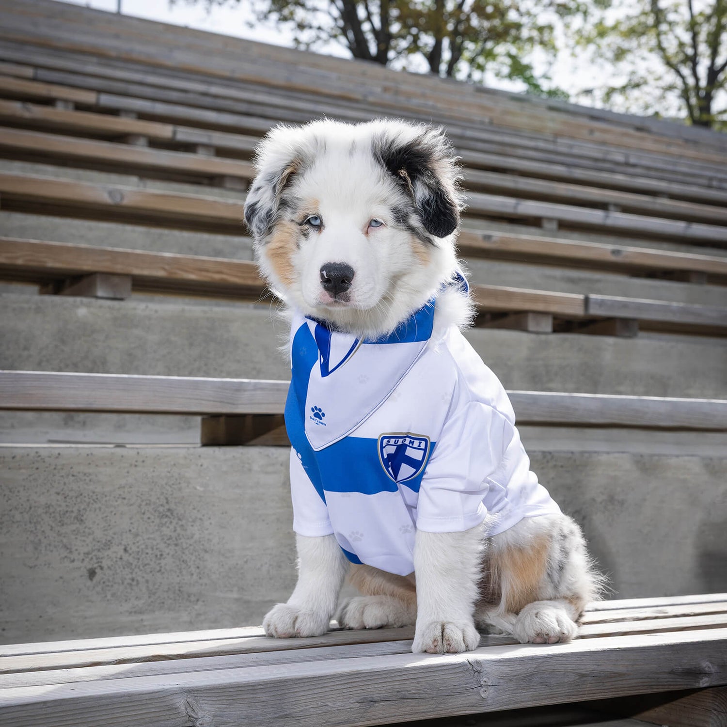 Finland Official Pet Jersey