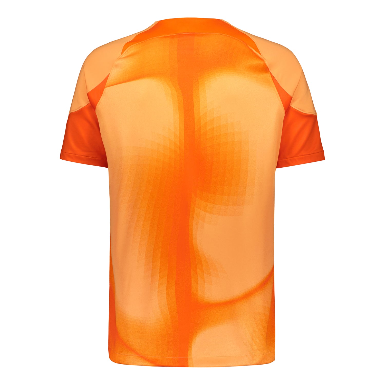 Finland Official Goalkeeper Jersey 2022/23, Hradecky Print