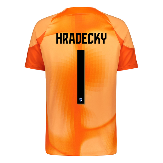 Finland Official Goalkeeper Jersey 2022/23, Hradecky Print