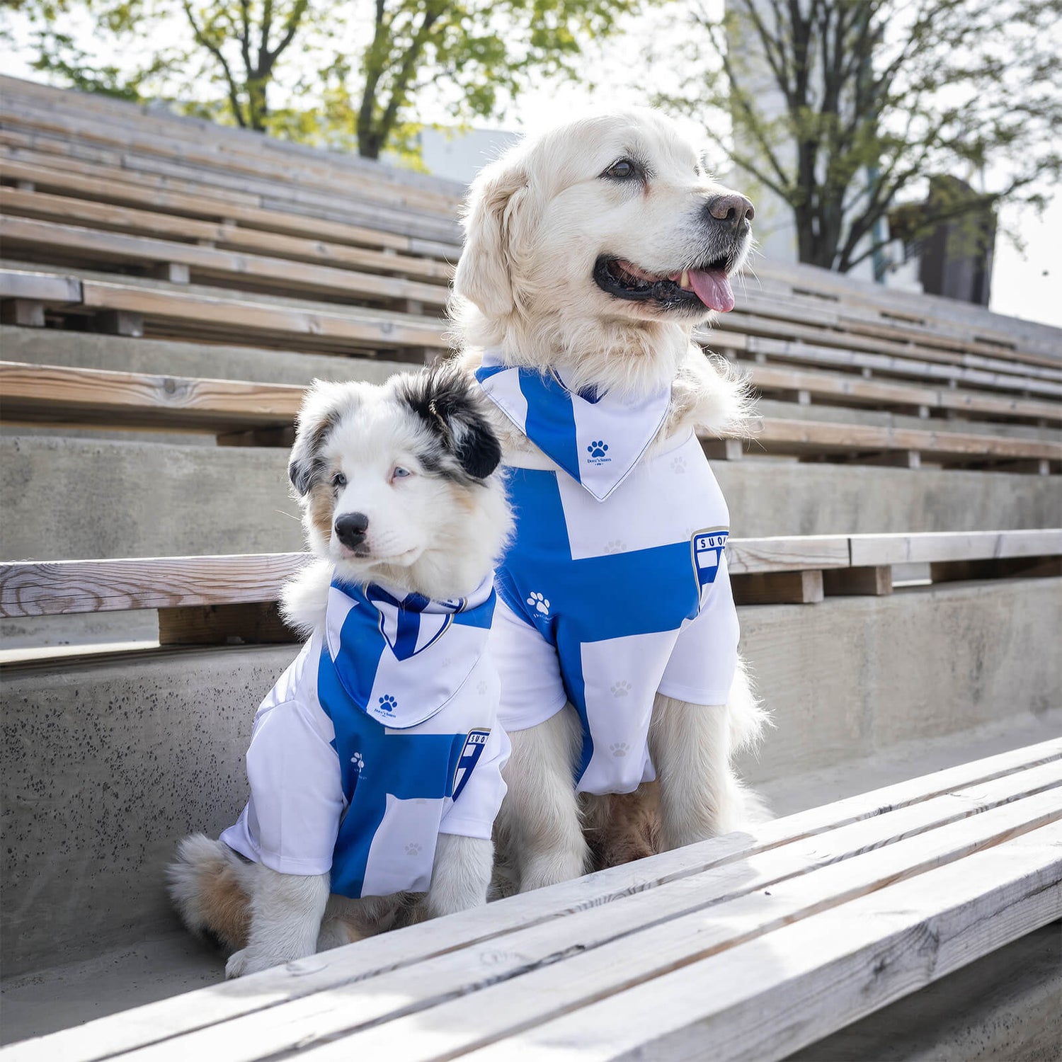 Suomi Virallinen lemmikin huivi